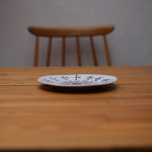 画像をギャラリービューアに読み込む, Mulet プレート フェナキストスコープ