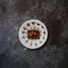 画像をギャラリービューアに読み込む, Mulet プレート フェナキストスコープ