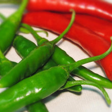 画像をギャラリービューアに読み込む, 材料