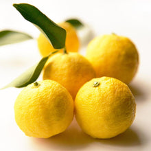 画像をギャラリービューアに読み込む, ゆず