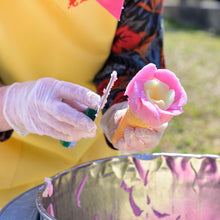 画像をギャラリービューアに読み込む, アイス