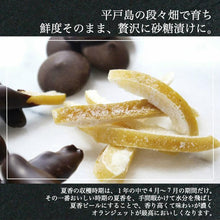 画像をギャラリービューアに読み込む, 材料の説明