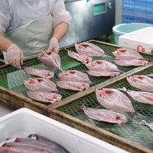 画像をギャラリービューアに読み込む, 製造工程