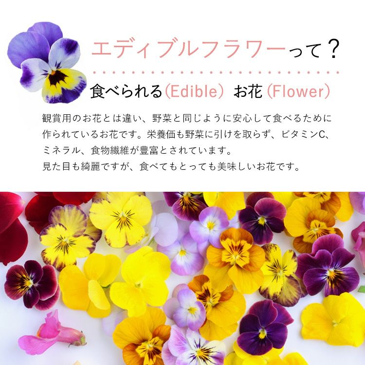 エディブルフラワーロリポップ