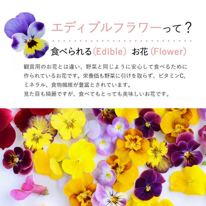 エディブルフラワーロリポップ