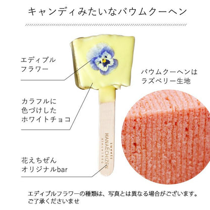 エディブルフラワーロリポップ