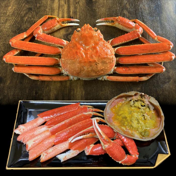 送料無料】本ズワイガニ姿 600g前後×1尾/2尾〈ボイル済み〉 | まるひな水産