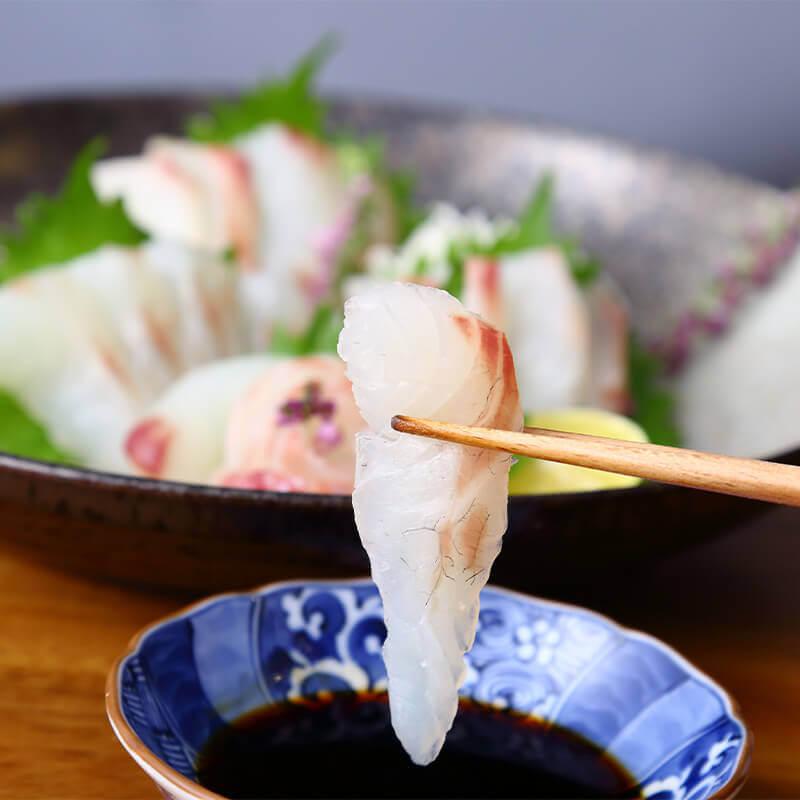 活き〆鯛
