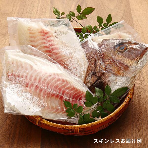 活き〆鯛