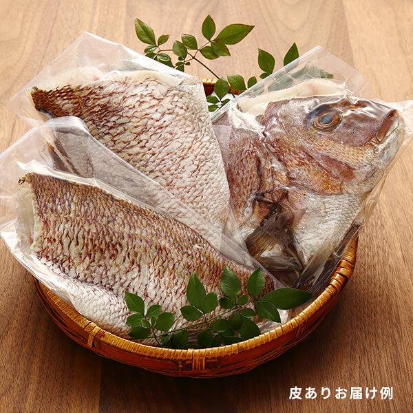 活き〆鯛