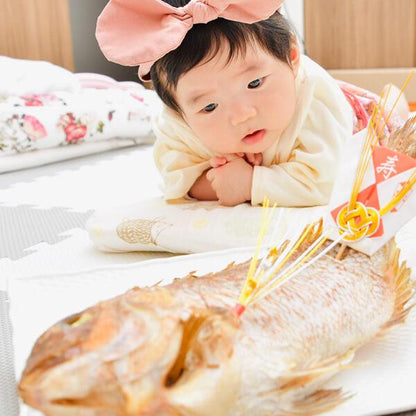 お食い初め用 真鯛。 