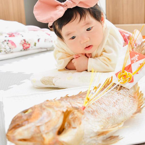 お食い初め用 真鯛。 