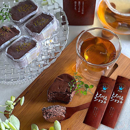 【送料無料】とろけるショコラ10個入(choco02)