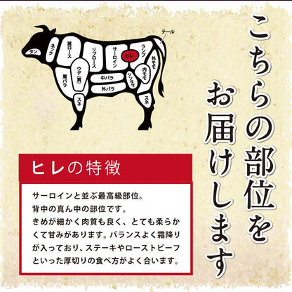 宮崎牛ヒレ