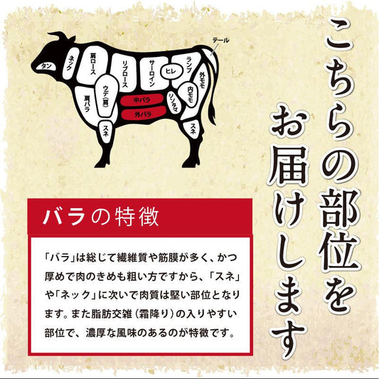 部位