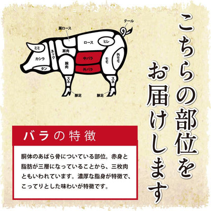 バラ