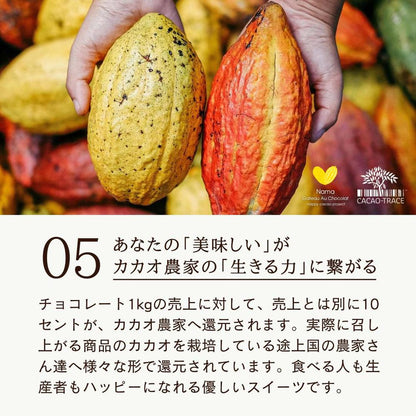 【極上の口溶け】幸せの生ガトーショコラ 200g | Nama Gateau Au Chocolat（ナマガトーショコラ）