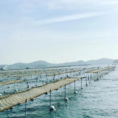 瀬戸内海苔のやみつきナッツ　海苔