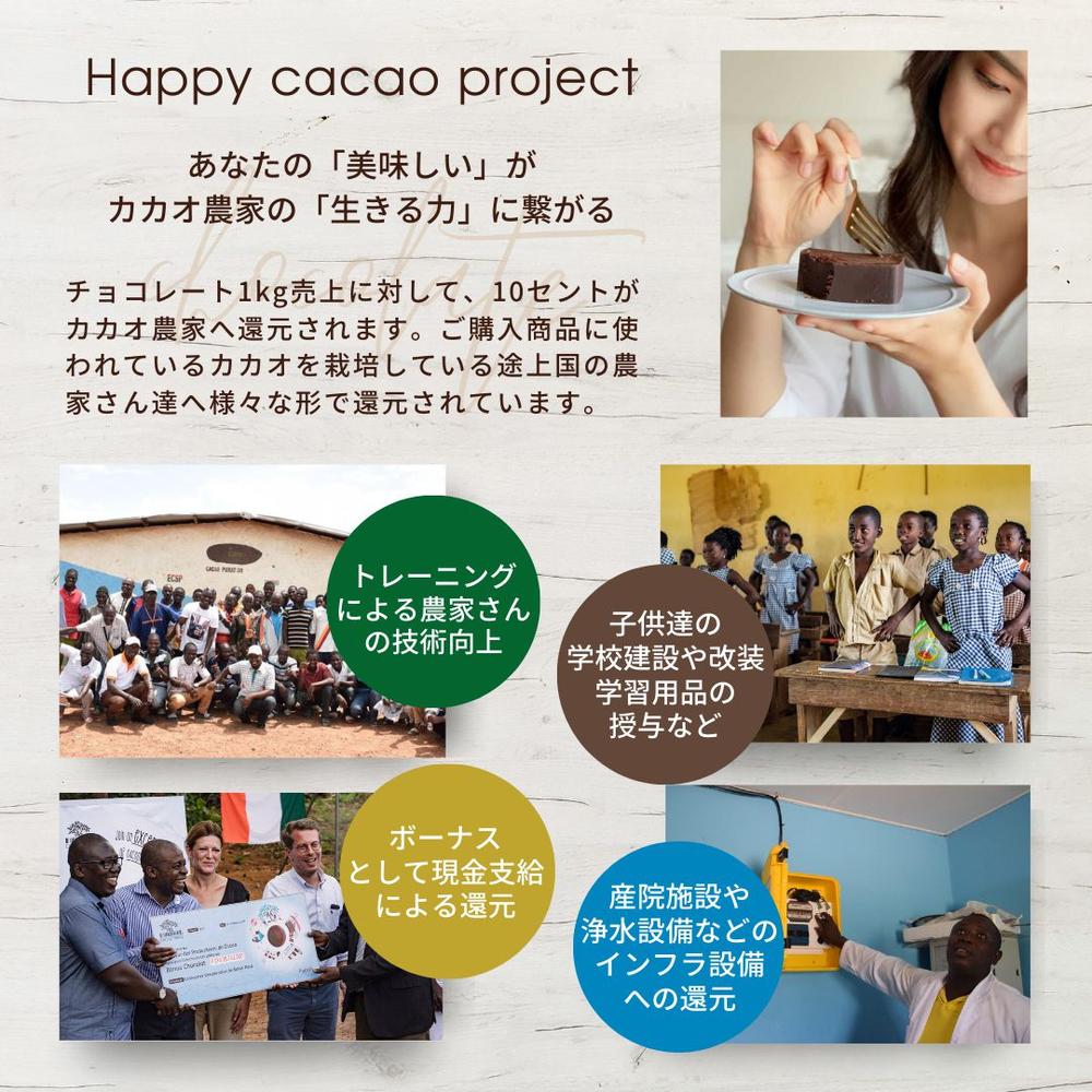 【極上の口溶け】幸せの生ガトーショコラ 300g | Nama Gateau Au Chocolat（ナマガトーショコラ）