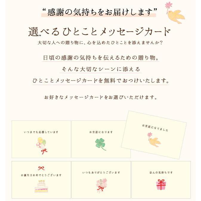 【期間限定】チーズケーキサンド - CHEESECAKE SAND - レモン 6本入 | M-dish（エムディッシュ）