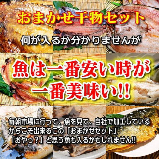 おまかせ干物セット6000円コース