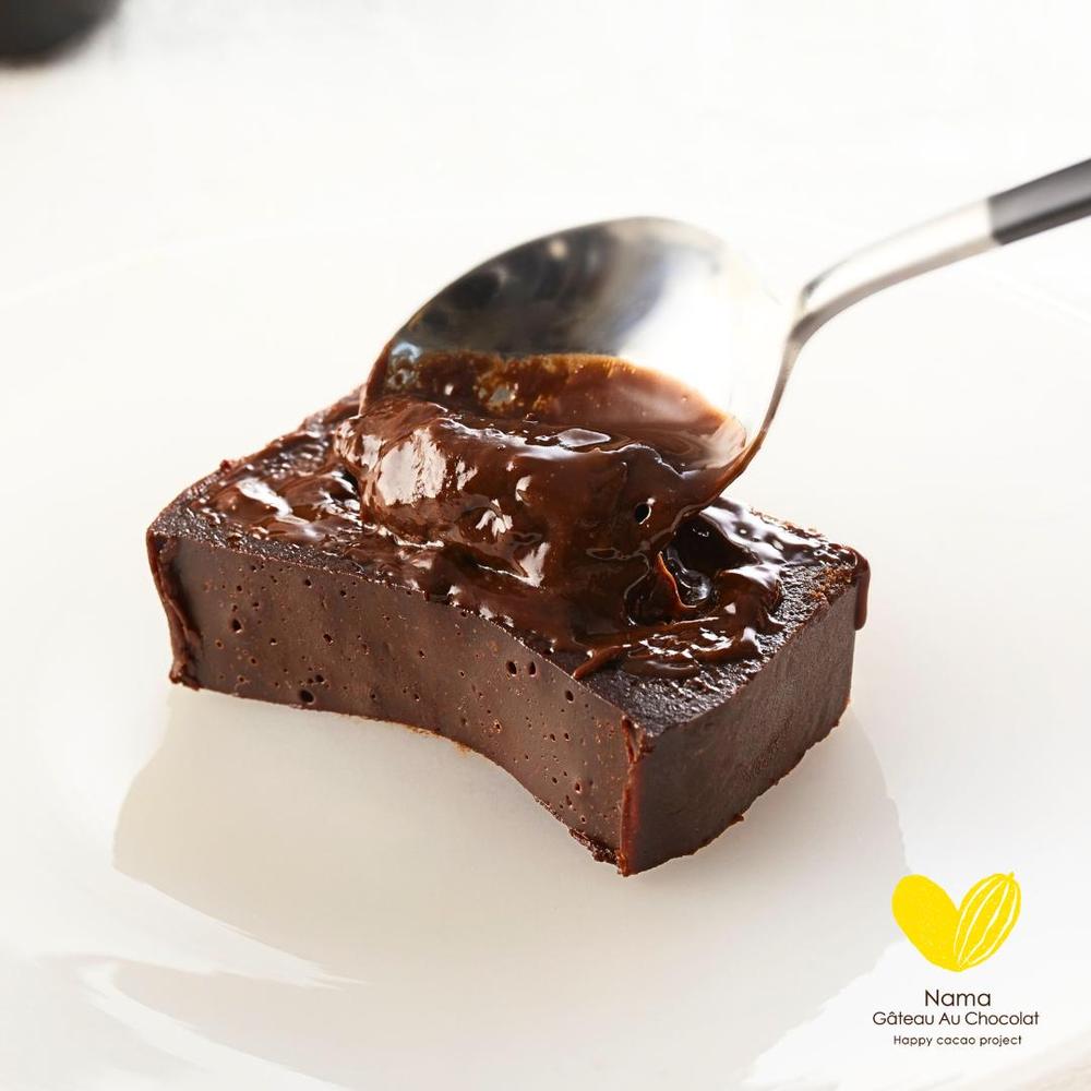 【極上の口溶け】幸せの生ガトーショコラ 200g | Nama Gateau Au Chocolat（ナマガトーショコラ）