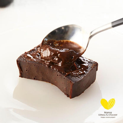 【極上の口溶け】幸せの生ガトーショコラ 200g | Nama Gateau Au Chocolat（ナマガトーショコラ）