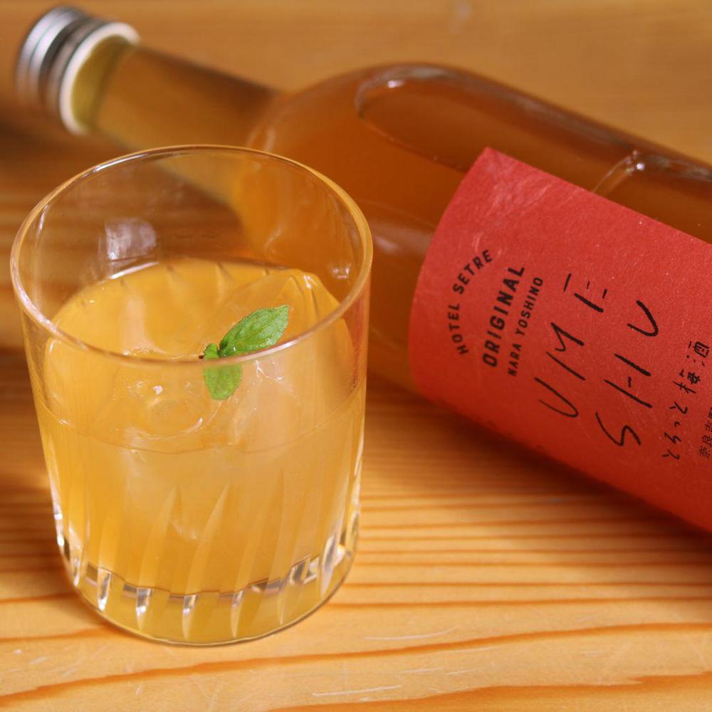 送料無料】梅酒 UMESHU とろっと梅酒 720ml | SETRE