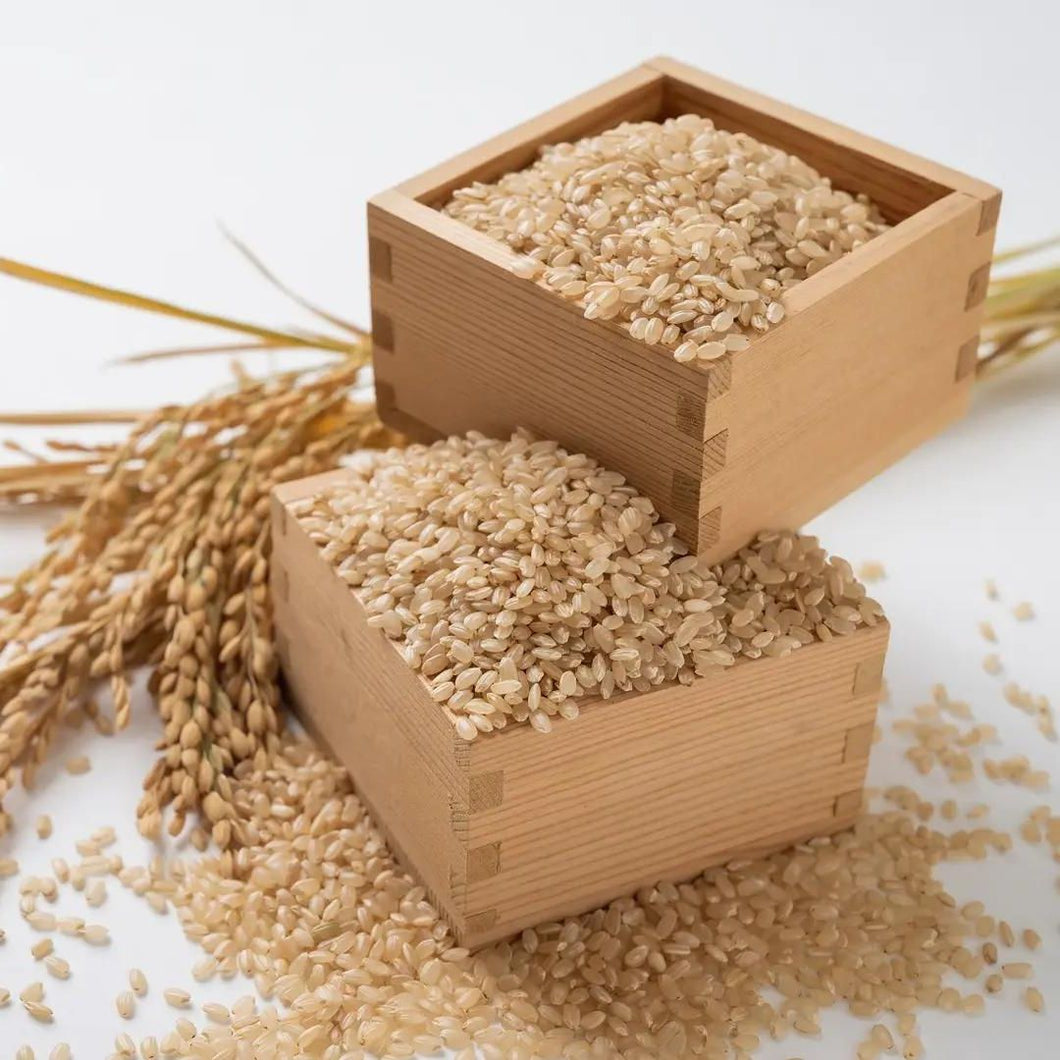 長崎県認定特別栽培米ひのひかり
