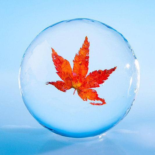 季節の丸氷(紅葉) 