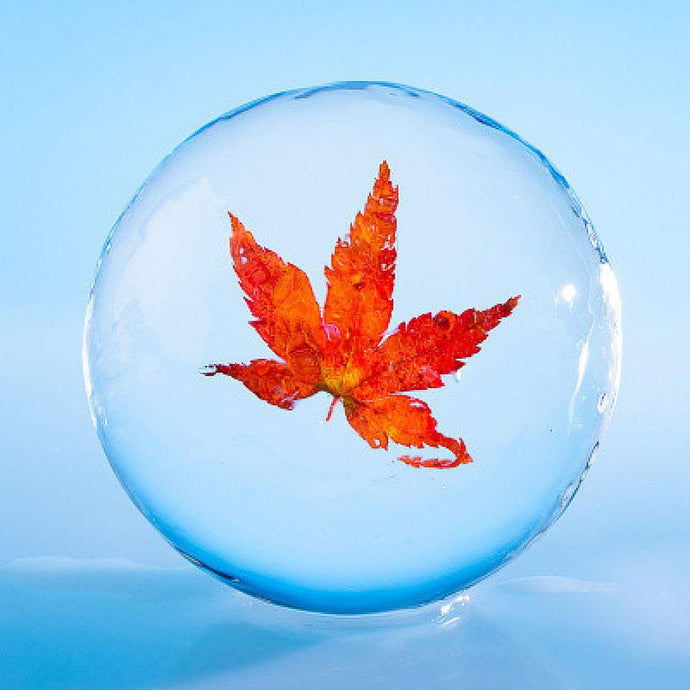季節の丸氷(紅葉) 