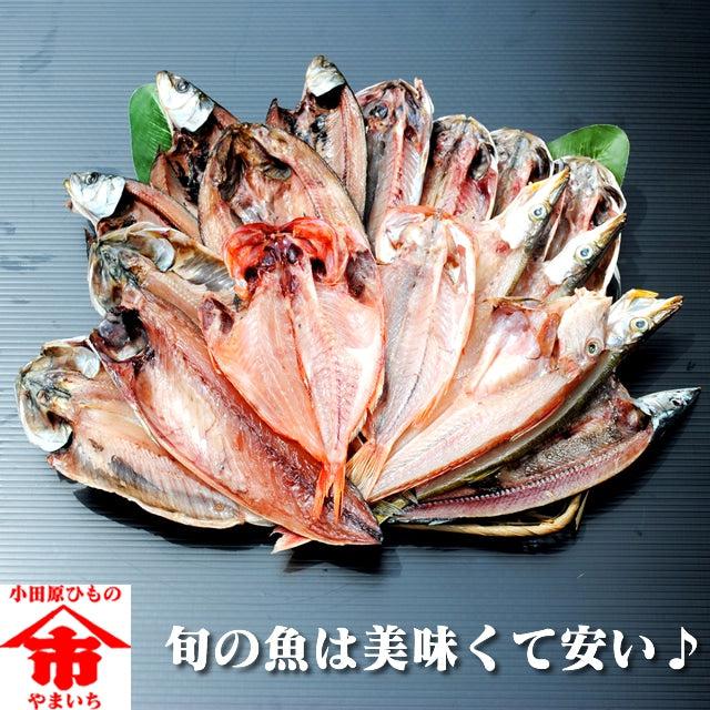 おまかせ干物セット6000円コース