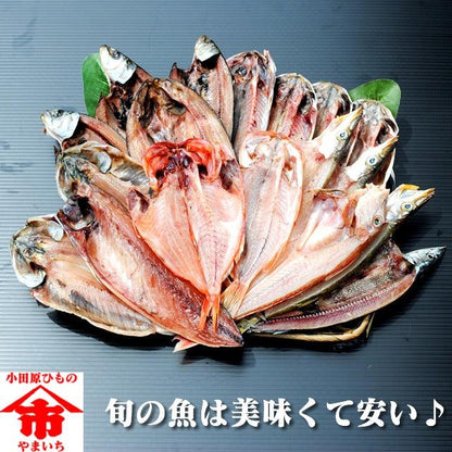 おまかせ干物セット6000円コース