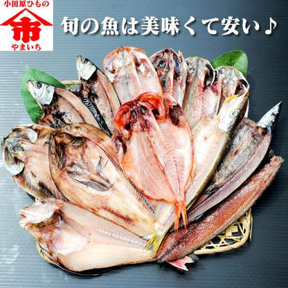 おまかせ干物セット5000円コース