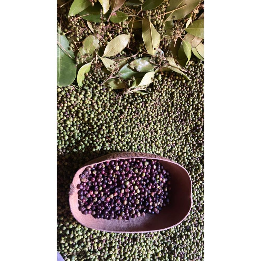 ジャマイカのスパイスセット 【オールスパイス（ピメント＋ジャーク