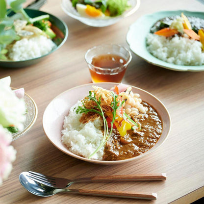 スパイスカレー5種食べ比べセット