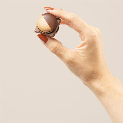 MAMEIL NAMA CHOCOLATE MACARON - Chocolate / Pistachio / Coffee / Blood orange / Creme brulee（6個入）