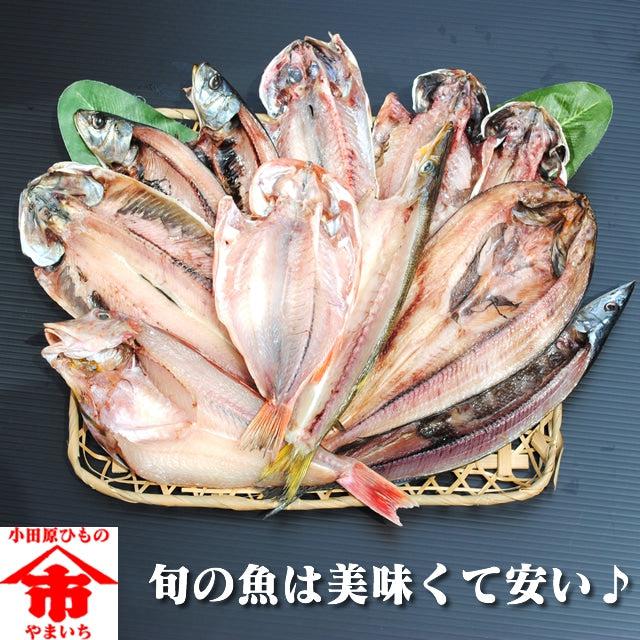 おまかせ干物セット4000円コース