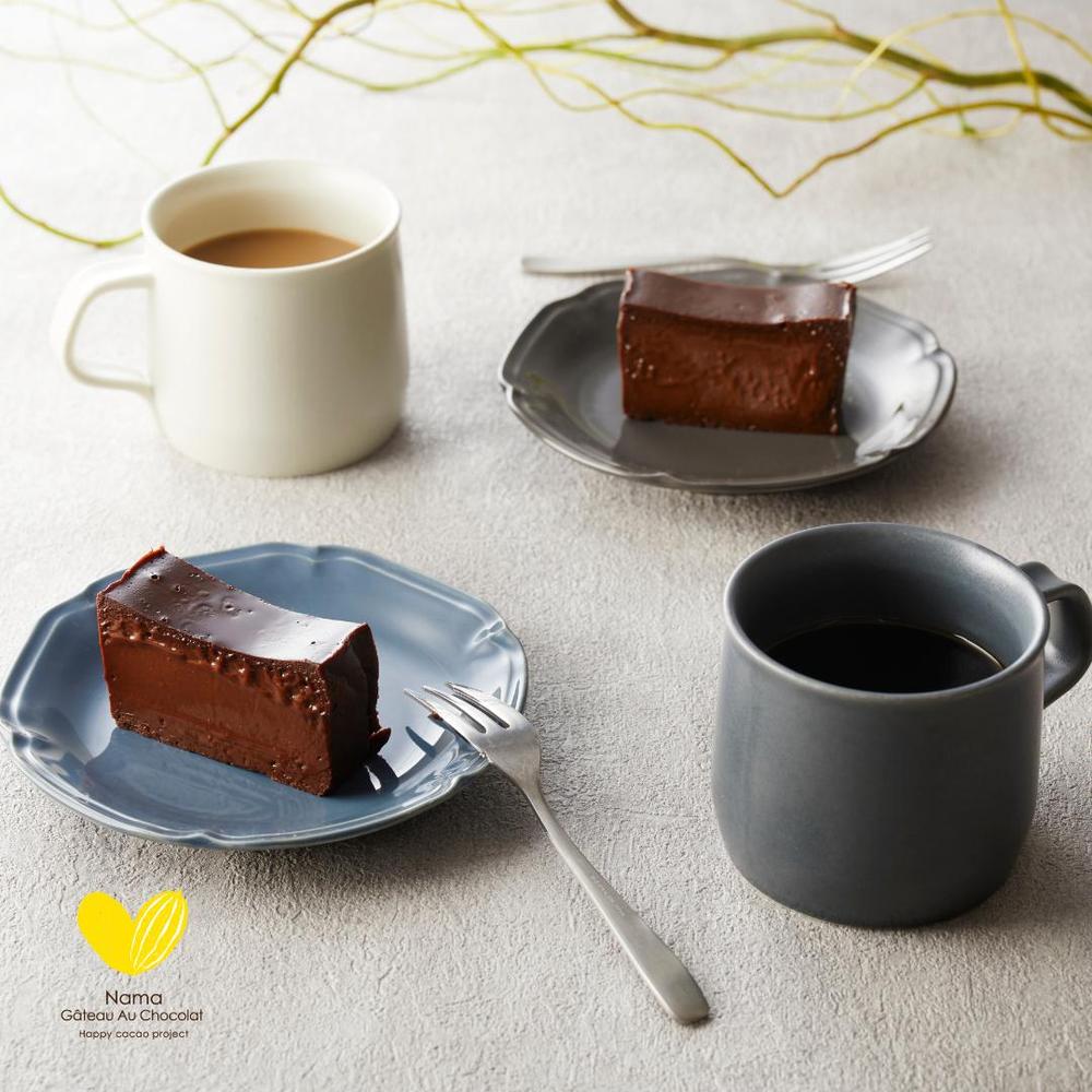 極上の口溶け】幸せの生ガトーショコラ 200g | Nama Gateau Au Chocolat