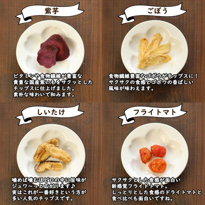 大地の生菓 15種類の野菜チップス ギフトBOXセット 300g