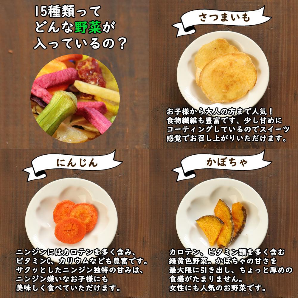 大地の生菓 15種類の野菜チップス ギフトBOXセット 300g