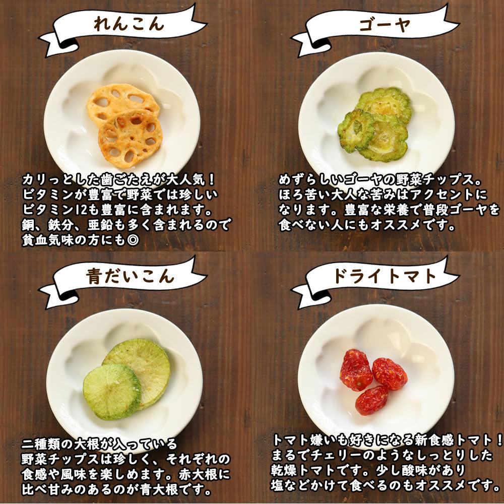 大地の生菓 15種類の野菜チップス ギフトBOXセット 300g