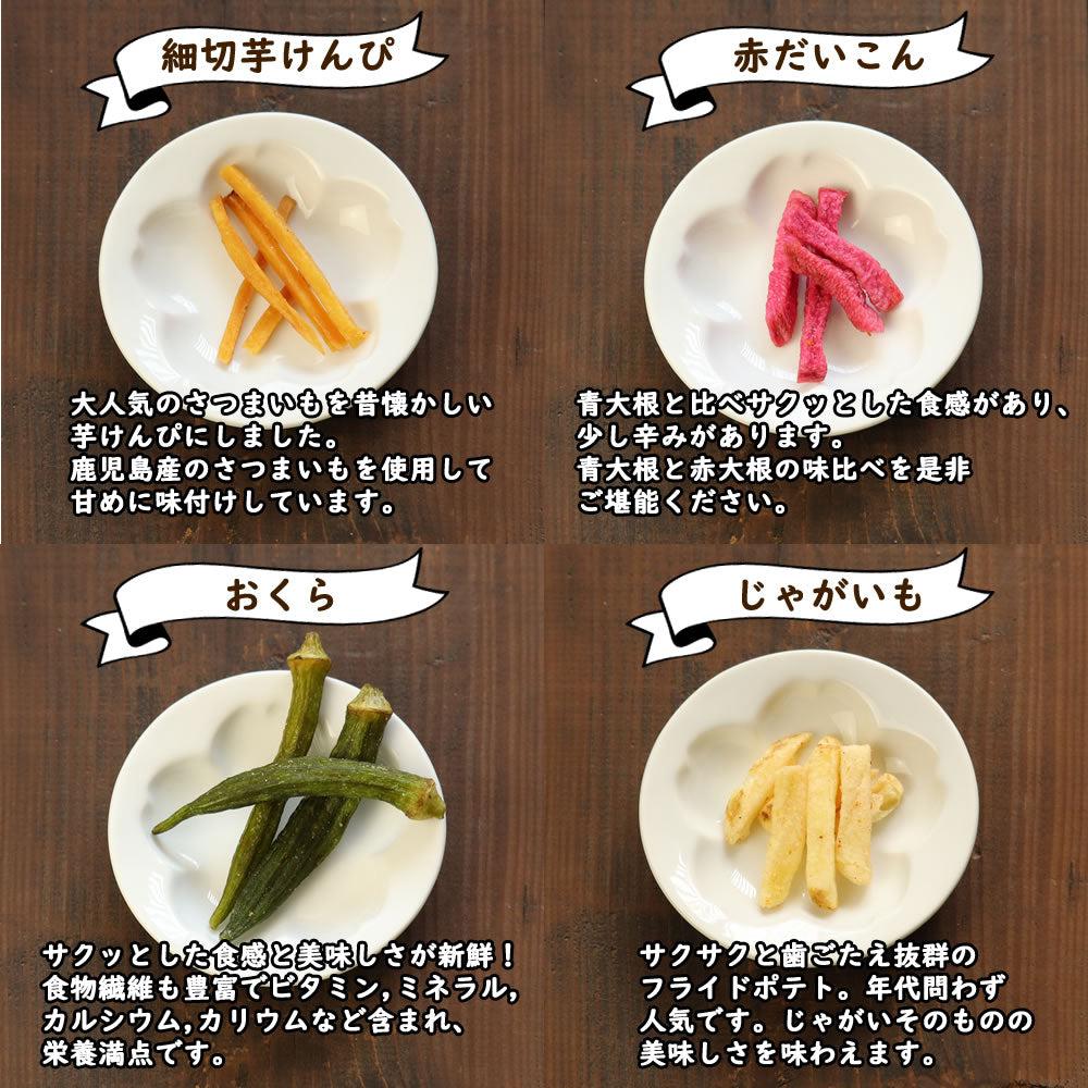 大地の生菓 15種類の野菜チップス ギフトBOXセット 300g