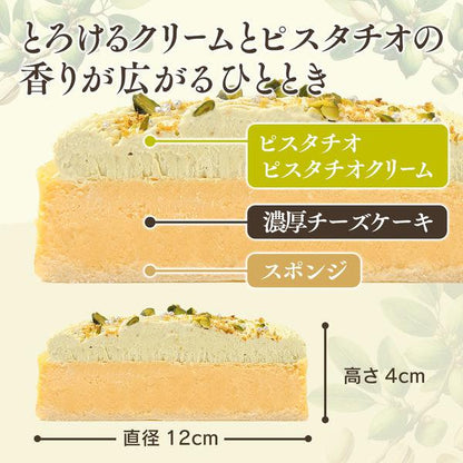 【送料無料】濃厚チーズケーキ ピスタチオ | 京都フレーバーズ