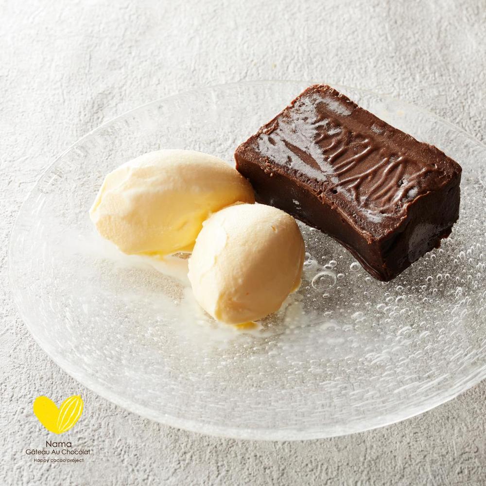 【極上の口溶け】幸せの生ガトーショコラ 200g | Nama Gateau Au Chocolat（ナマガトーショコラ）