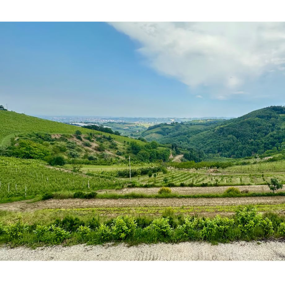 ラ ヴィア デル コッレ アンバラダン ローザ【LA VIA DEL COLLE AMBARADAN ROSA】自然派ロゼフリッツァンテ