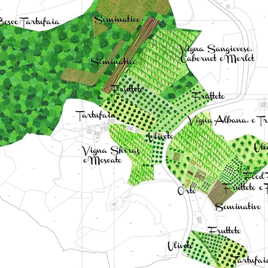 ラ ヴィア デル コッレ アンバラダン ローザ【LA VIA DEL COLLE AMBARADAN ROSA】自然派ロゼフリッツァンテ