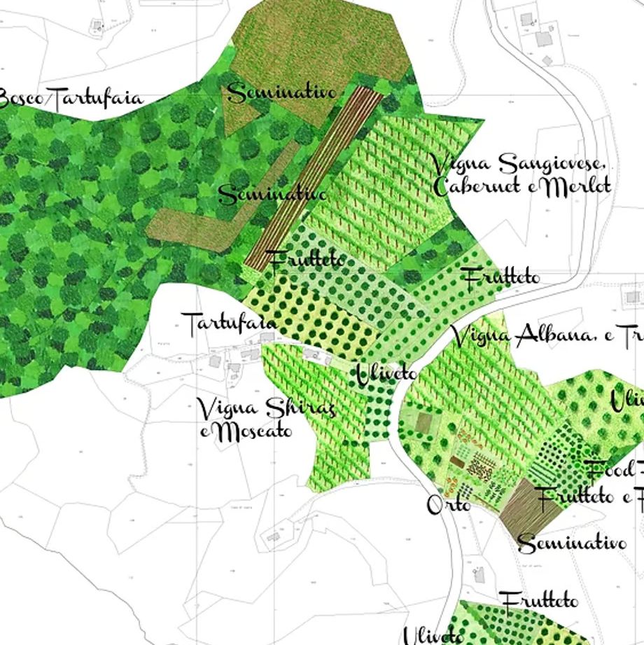 ラ ヴィア デル コッレ ヴェドネーロ【LA VIA DEL COLLE VEDONERO】特別な自然派赤ワイン 