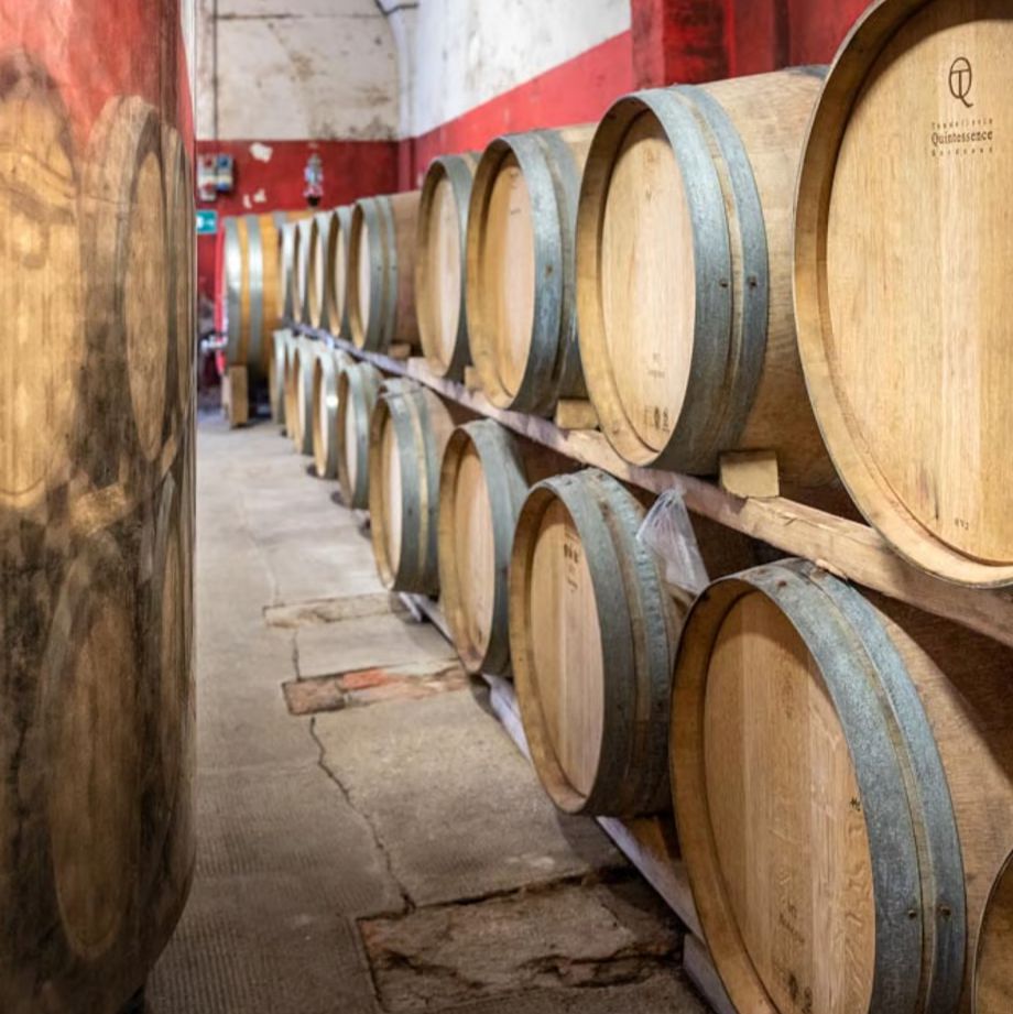 コンテ アルドブランド ヴィラ ソーレ【CONTE ALDO BRANDO VILLA SOLE】白ワイン