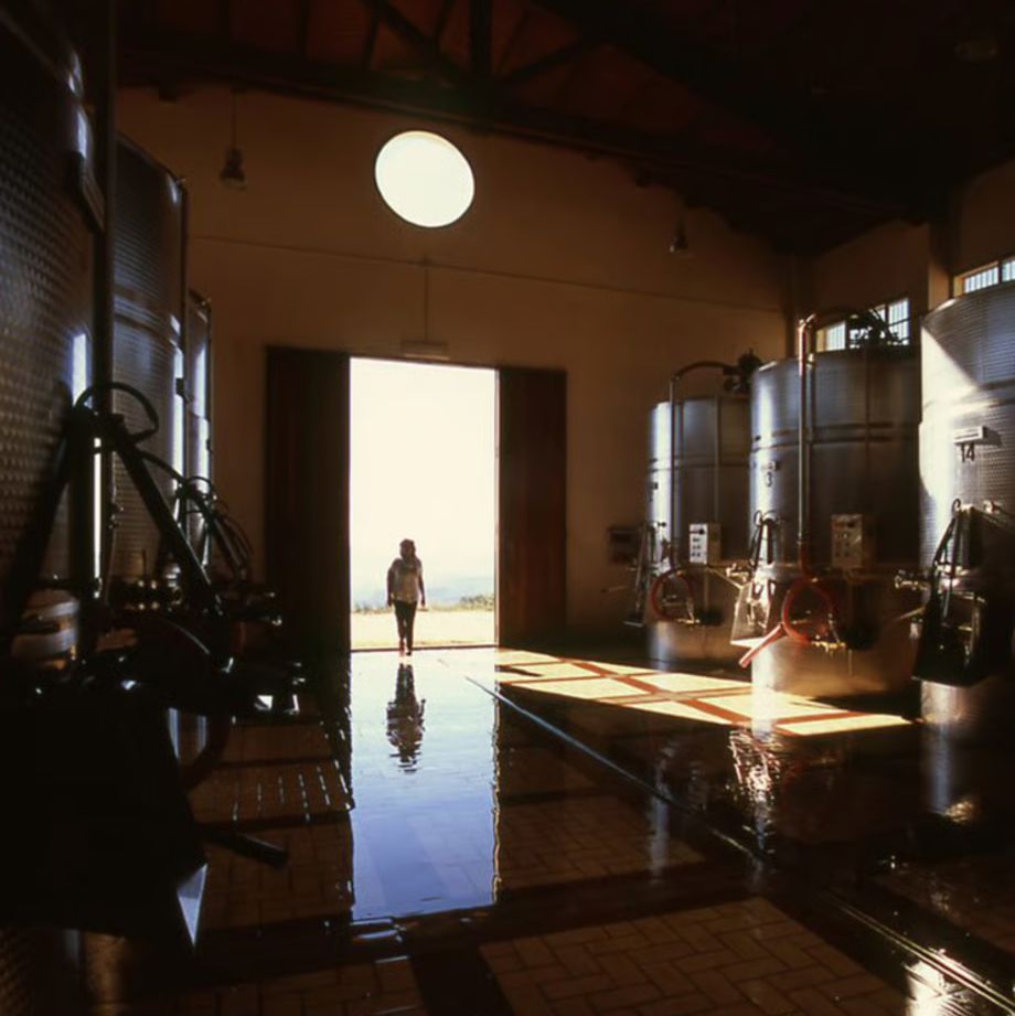 バリオ ディ グリーシ ヴィオニエ 2022 【BAGLIO DI GRISI VIOGNIER  2022】BIO白ワイン